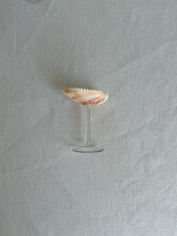 Sea Shell Glasses