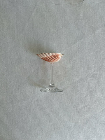 Sea Shell Glasses